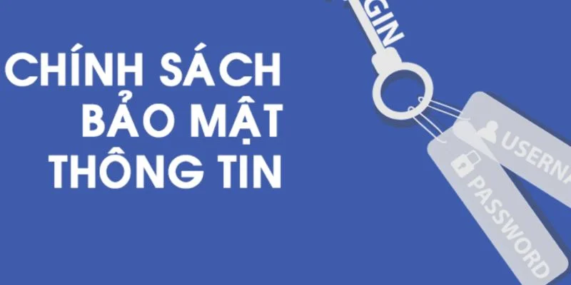 Cập nhật các thông tin về quy định chính sách cho thành viên mới 